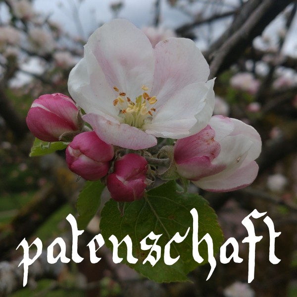 kachel patenschaften